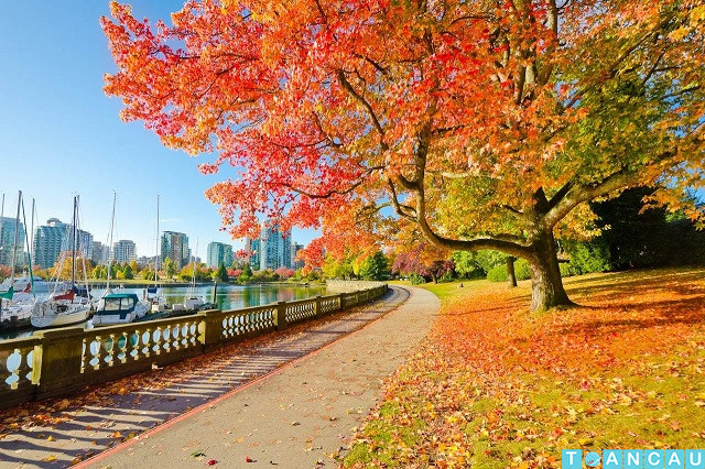 Vé máy bay đi Vancouver giá rẻ