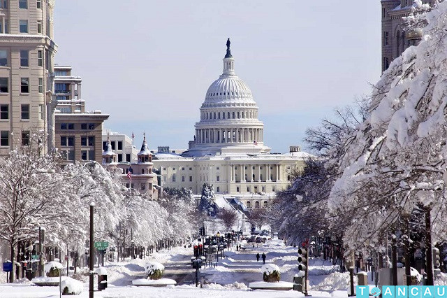 Vé máy bay đi Washington giá rẻ